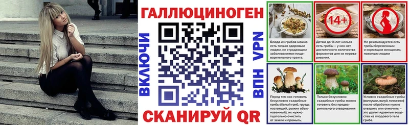 нарко площадка Telegram  Киселёвск  Псилоцибиновые грибы MAGIC MUSHROOMS  ссылка на мегу ONION 